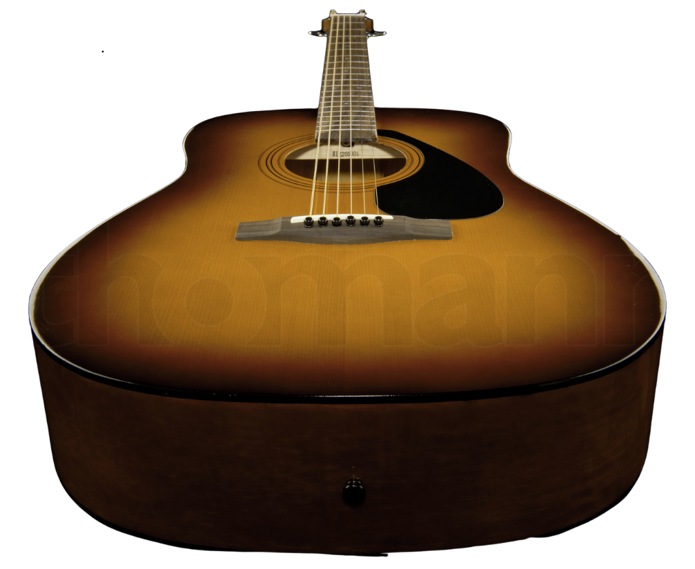 Yamaha F310 - სურათი 6